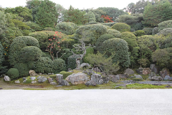 鶴亀の庭