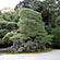鶴亀の庭5