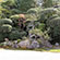 鶴亀の庭6