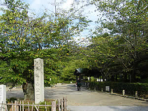 円山公園1