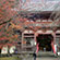 醍醐寺の紅葉2