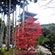 醍醐寺の紅葉3
