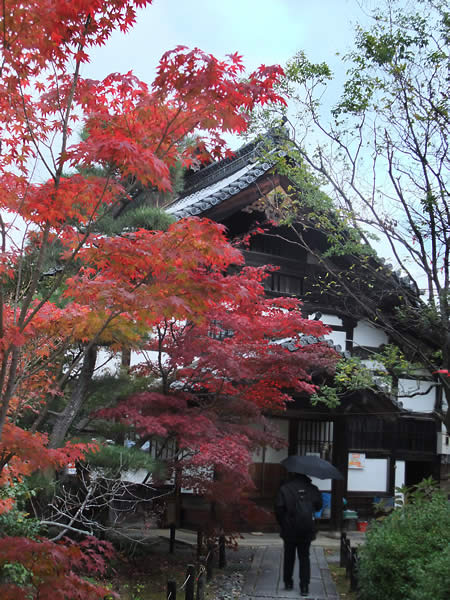 清涼寺の紅葉