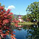 大覚寺と大沢の池の紅葉11
