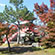 大覚寺と大沢の池の紅葉14