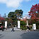 大覚寺と大沢の池の紅葉1