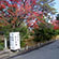 大覚寺と大沢の池の紅葉2