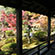 大覚寺と大沢の池の紅葉6