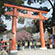 上賀茂神社の桜1