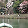 渡月橋・嵐山公園の桜14