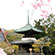 清涼寺の桜4