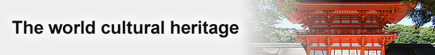 The world cultural heritage