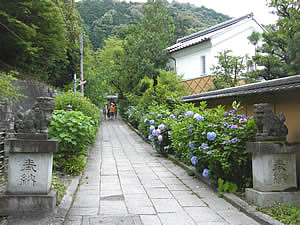 Otoyo jinja