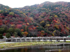 Arashiyama