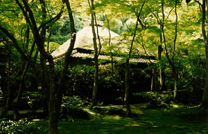 Gio-ji