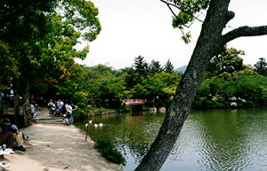 Osawa Pond